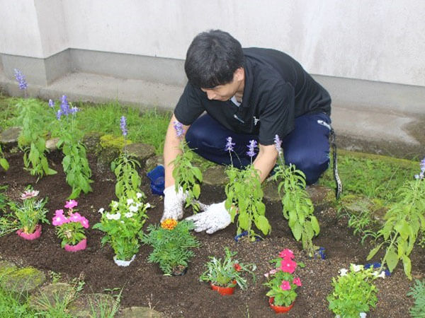 6月の花壇整備2