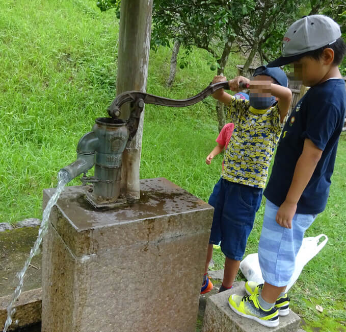 水だし