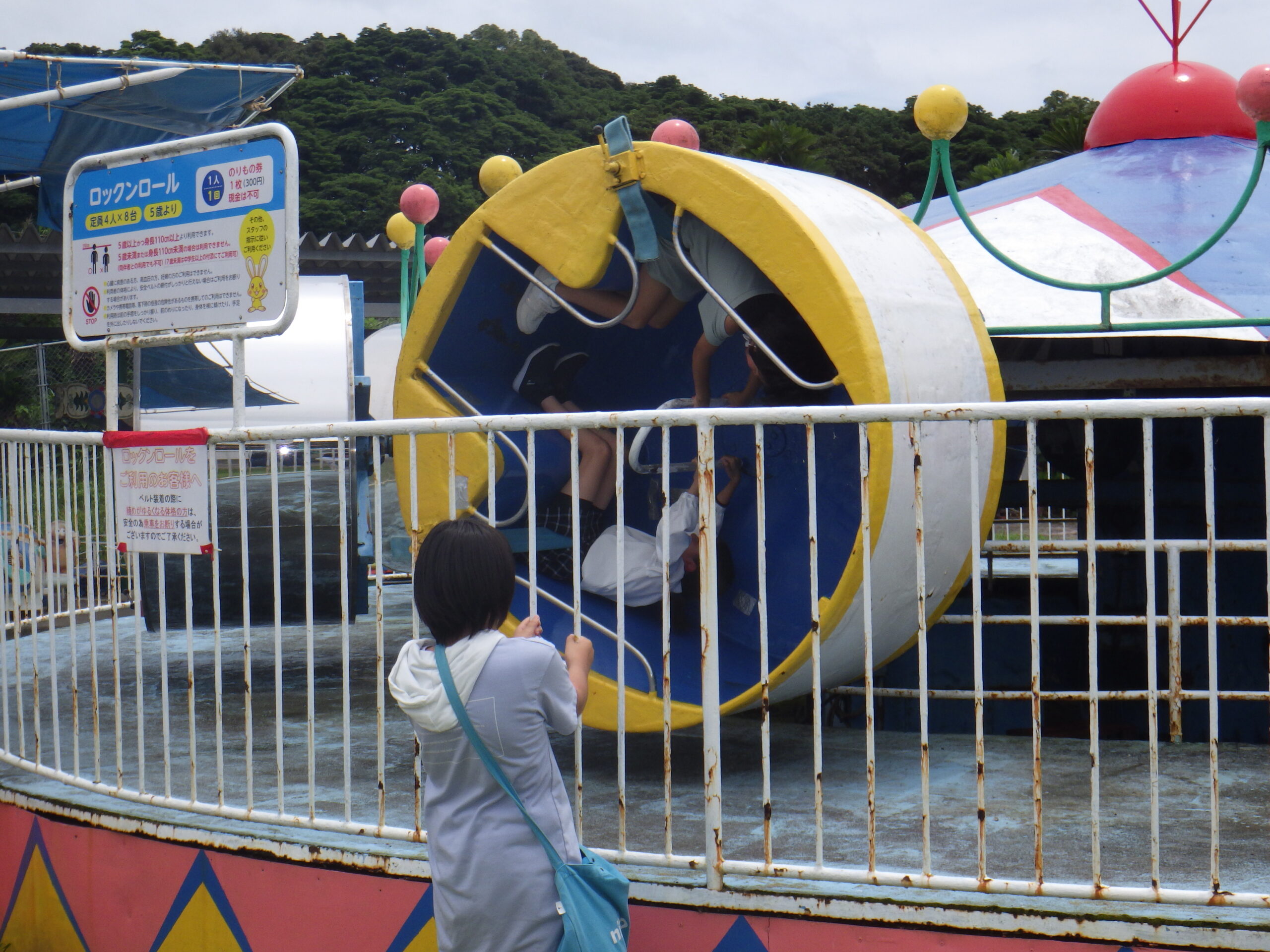 カーネーションホームアクティブ夏の思い出